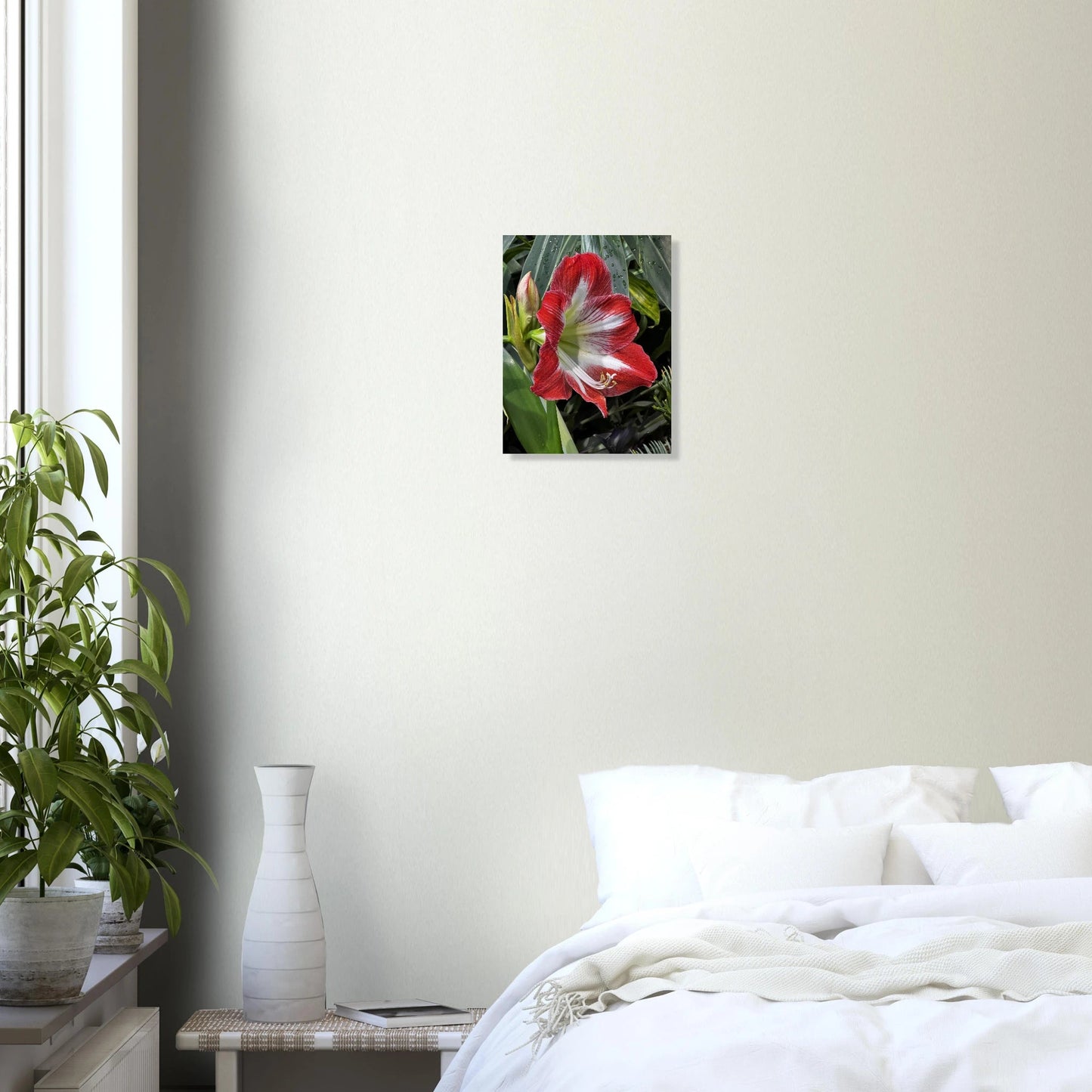 Stunning Amaryllis Flowers Poster – Devonian Gardens Design - Dave Pattinson Photography Online Shop